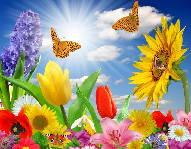 Flores y mariposas de verano 2K fondo de pantalla