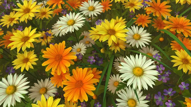 Sommerblumen HD Hintergrundbild