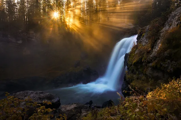 Sun Setting on Forest Waterfall