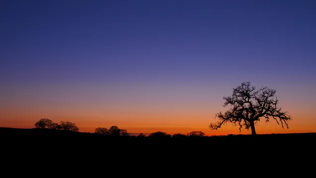 Gurun Matahari terbenam 4K kertas dinding
