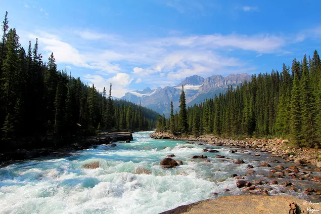 Sungai di Taman Nasional Banff di Kanada unduhan