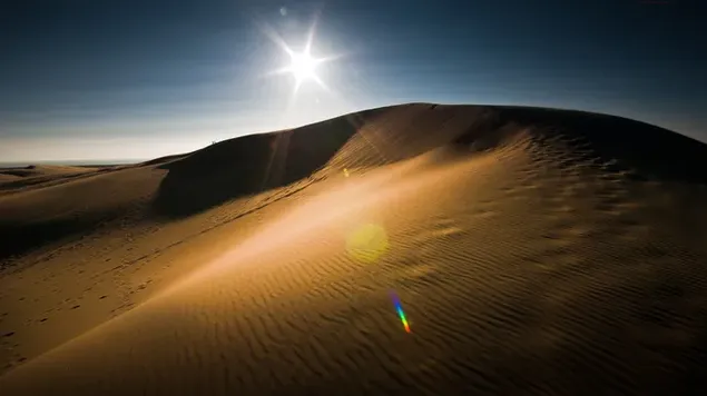 Sunlight casts shadows on desert gambling