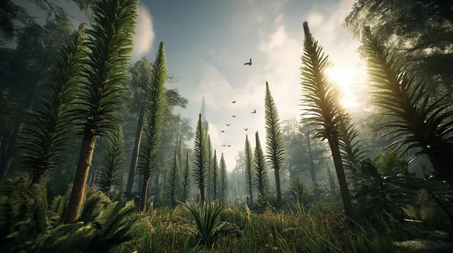 scaipeann solas na greine tri chrainn arda i bhforaois chiuin ioslodail