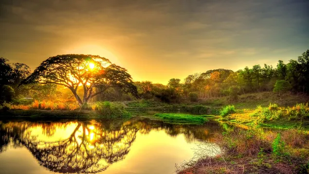 Sonnenlicht von den Hügeln und die Reflexion des Baumes im Wasser 4K Hintergrundbild