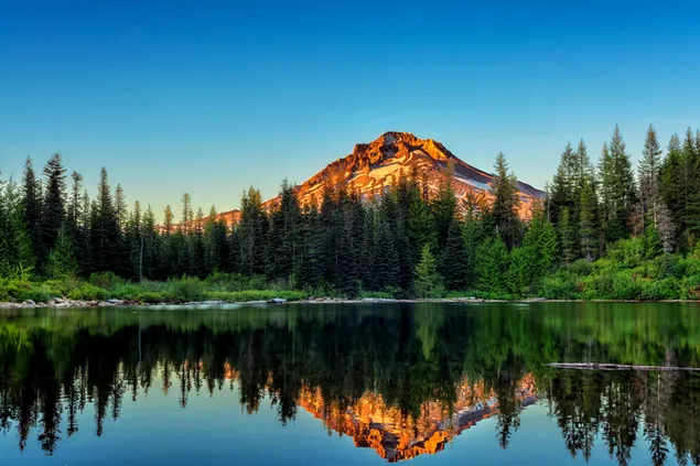 Sonnenlicht, das auf die Spitze des Berges trifft, und der Blick auf die Bäume, die sich im Wasser spiegeln 2K Hintergrundbild