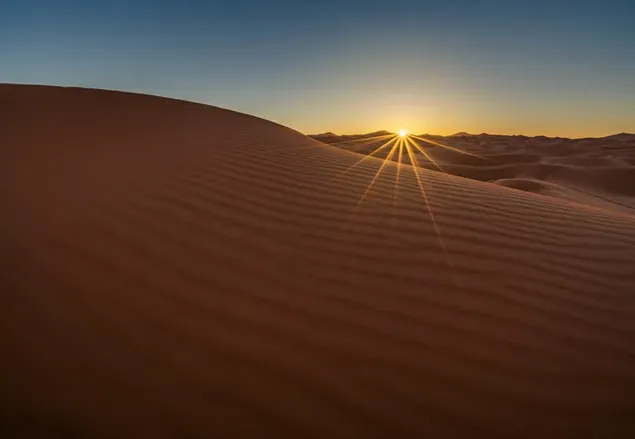 砂漠の砂の上の日光