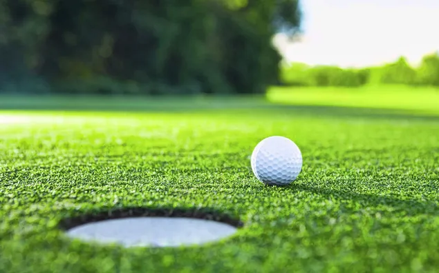 Saulėtas golfo aikštynas ir golfo kamuoliuko dėklas atsisiųsti