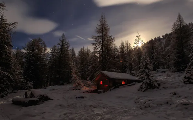 Amanecer en el bosque de invierno HD fondo de pantalla