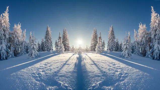 Sunrise in winters download