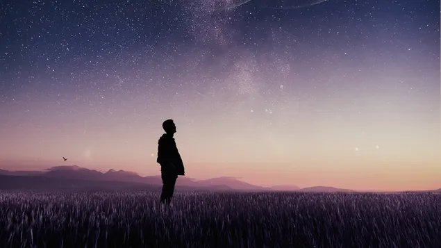 Tapeta Západ slnka krásna večerná tma 4K