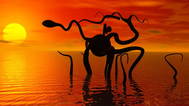 Sonnenuntergangsfarben und Formreflexionen, die sich im Meer spiegeln 8K Hintergrundbild