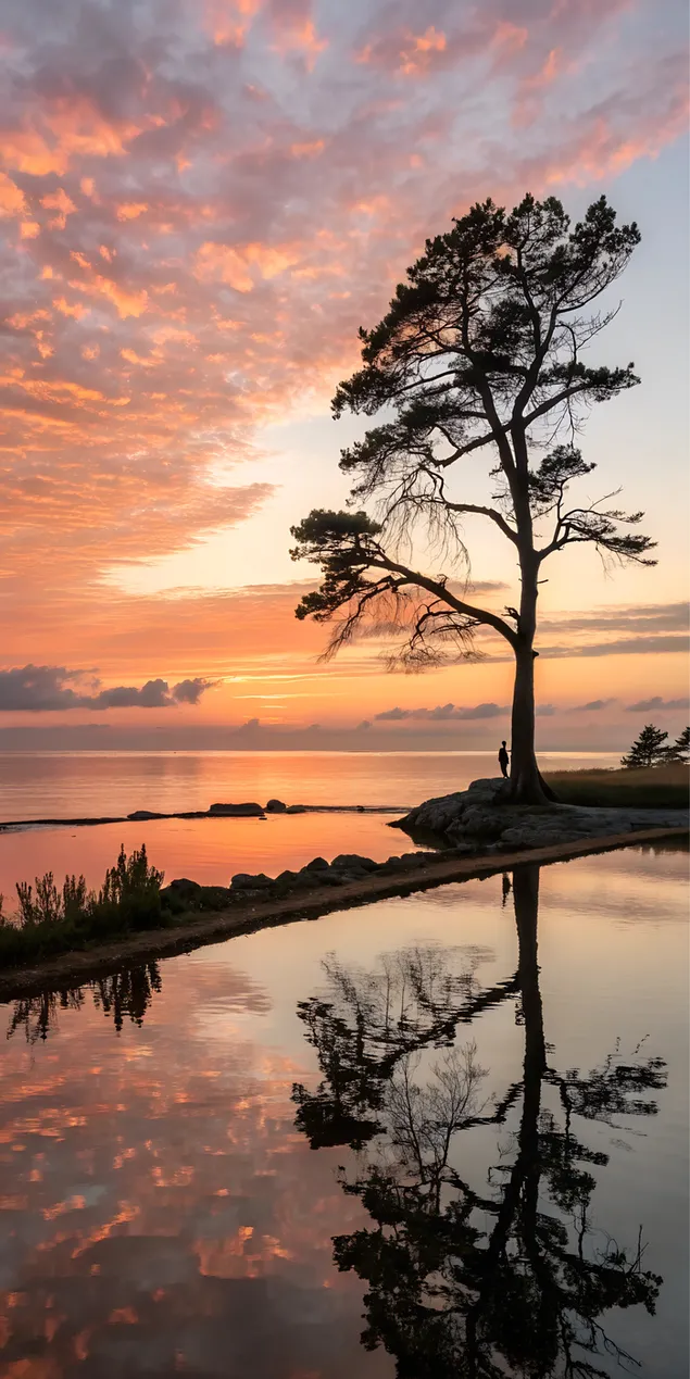 Keanggunan Matahari Terbenam, Pantulan di Laut yang Tenang 2K wallpaper