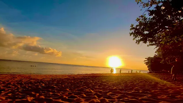 puesta de sol en la playa 4K fondo de pantalla