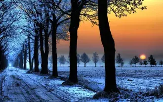 Puesta de sol en temporada de invierno HD fondo de pantalla