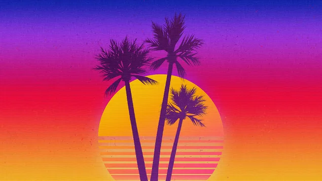 Zonsondergang Palmboom Kunst 4K achtergrond