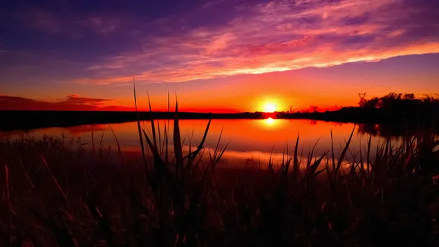 Sunset reflection download