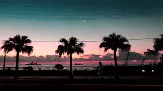 Hình nền Hình bóng hoàng hôn 4K