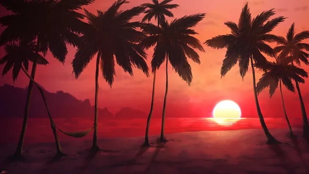 Uitzicht op de zonsondergang op palm en zee 4K achtergrond
