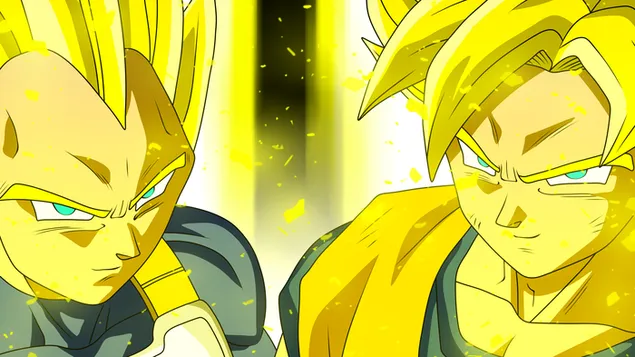 Super Saiyajin, Goku & Vegeta 4K Hintergrundbild