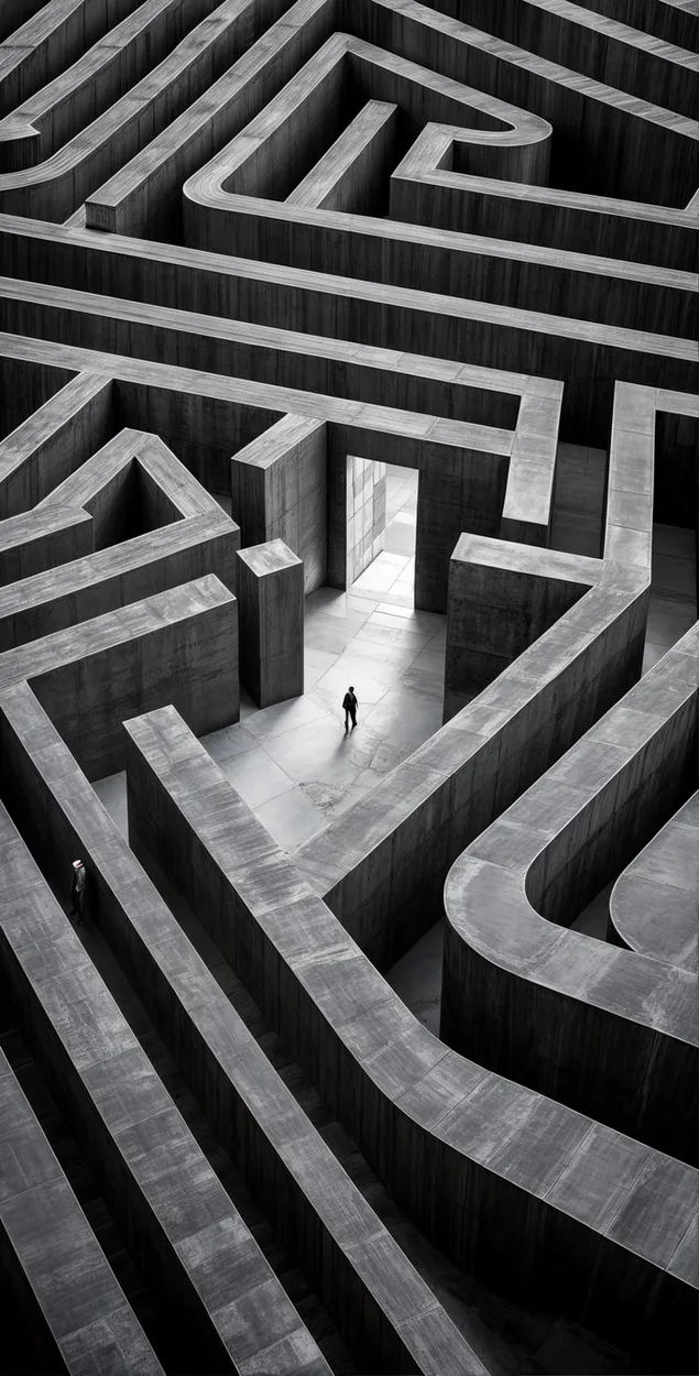 labirint surreal bardh e zi me vija qe levizin shkarkim