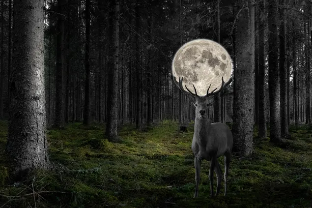 Vista surrealista de la luna llena en el bosque nocturno