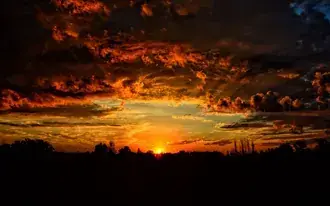 Surreal view of the setting sun behind silhouettes of trees and dark clouds 4K wallpaper