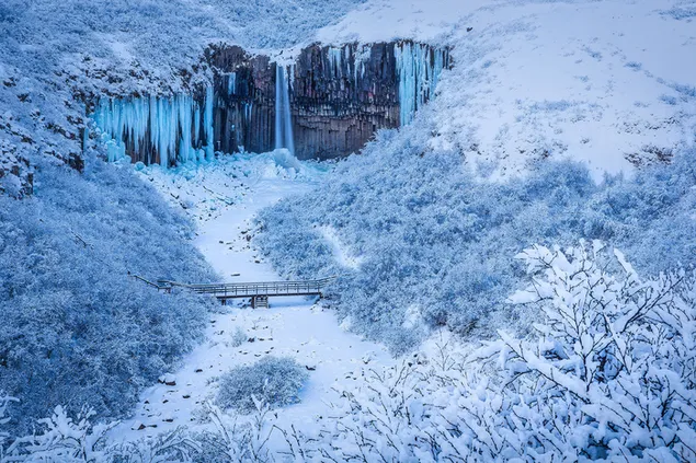 svartifoss-waterval en brug bedekt met bossen in de winter download