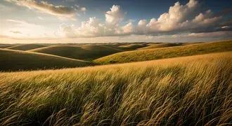 sweeping golden grass waves gently in the breeze across endless rolling hills under a dramatic sky, offering a sense of peace and freedom in open natu