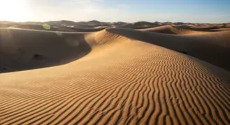 sweeping golden sand dunes are illuminated by the soft morning sun, revealing textured ridges and graceful curves across a boundless desert landscape download
