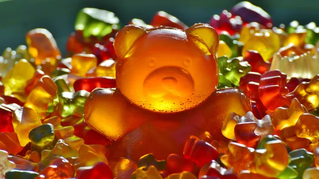 Søde gummibjørne i alle farver og en stor rød gummibjørn download