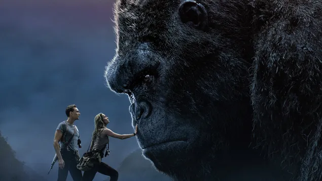 เชื่องคิงคอง 4K วอลเปเปอร์