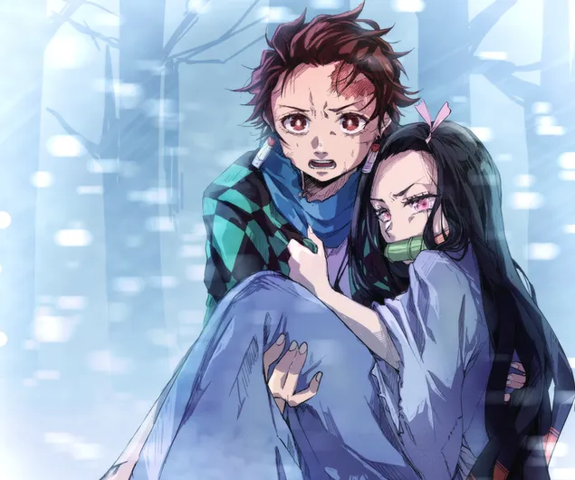 Tanjirou Kamado & Nezuko Kamado