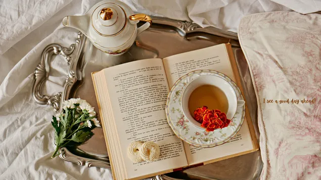 Taza de té en la parte superior del libro. descargar