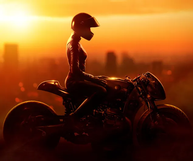The Batman : Catwoman on motorcycle