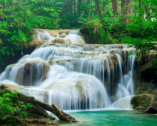 Убавината на потокот што тече низ камењата од мов меѓу дрвјата во шумата 4K тапет
