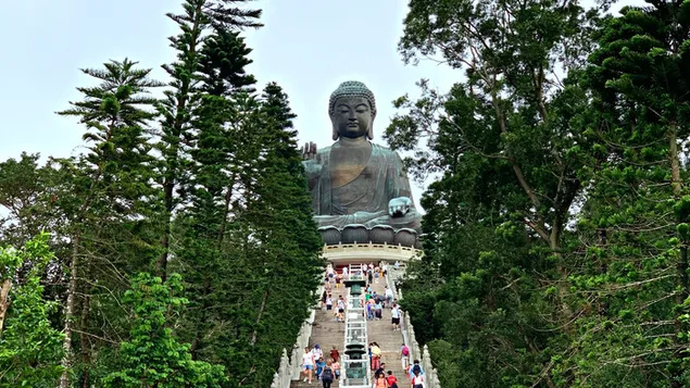 The big buddha in Ngong Ping, Lantau Island - Travel Hong Kong download