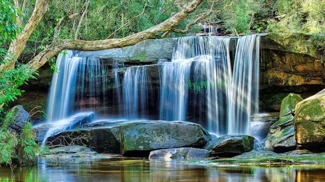 De betoverende schoonheid van de waterval die stroomt van de mosstenen tussen de bomen in het bos 8K achtergrond