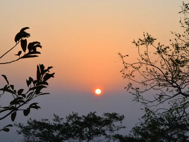 O primeiro nascer do sol do ano 2K papel de parede