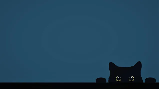 mustan keltasilmaisen kissan katse mustalla taustalla sinisen vihrean sekavarisin savyin lataa