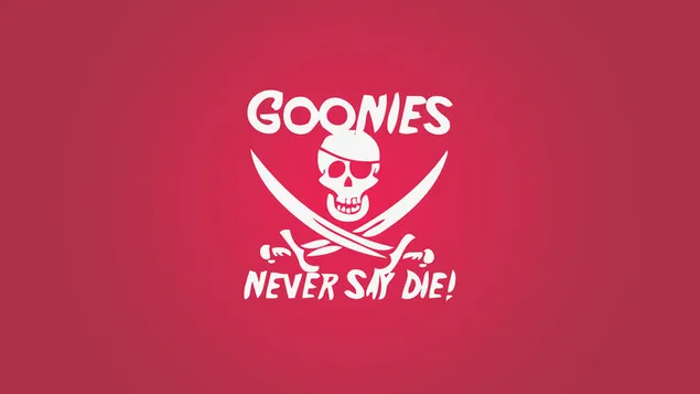The goonies banner