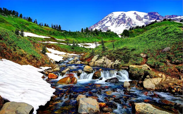 Tapeta Tráva zelenajúca sa s príchodom jari a potok tečúci z úpätí zasnežených hôr 2K