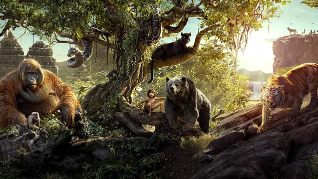 Film The Jungle Book - karakter