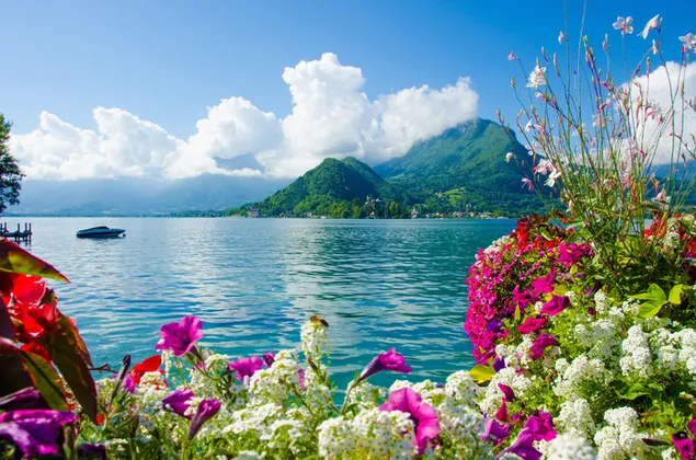 白い雲が緑の山頂に触れる花の後に見える湖とボート 4K 壁紙