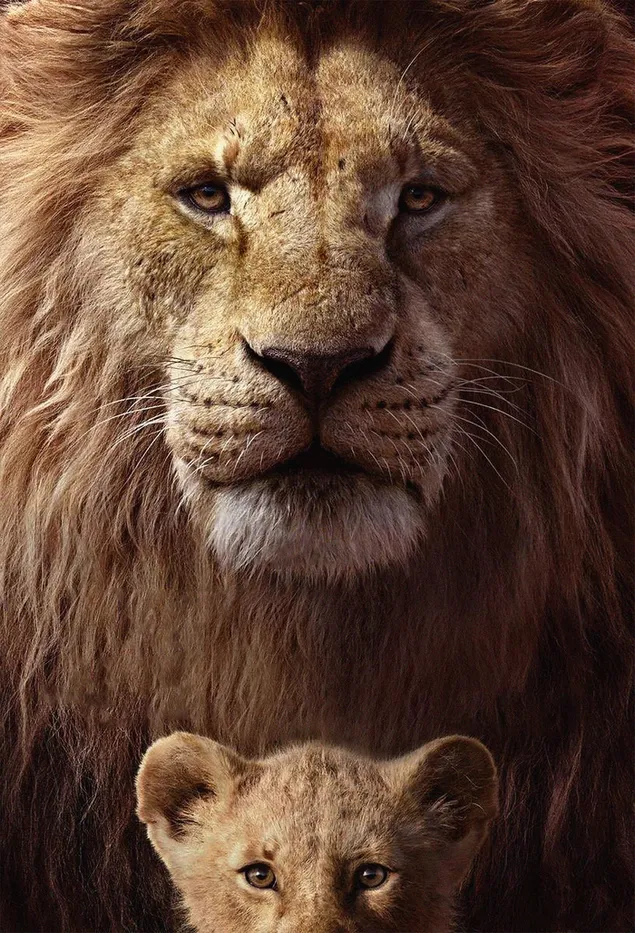 Phim hoạt hình Vua sư tử cha và sư tử con tải xuống