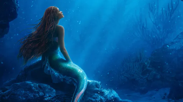 Poster bawah laut Little Mermaid unduhan