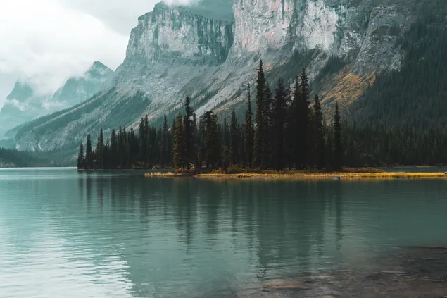 khwh mh alwd brgyry khnyd