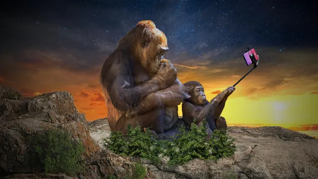 The modern monkeys download