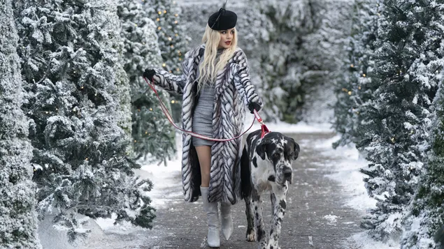 The Princess Switch 3: Romancing the Star: ונסה הדג'נס 4K טפט