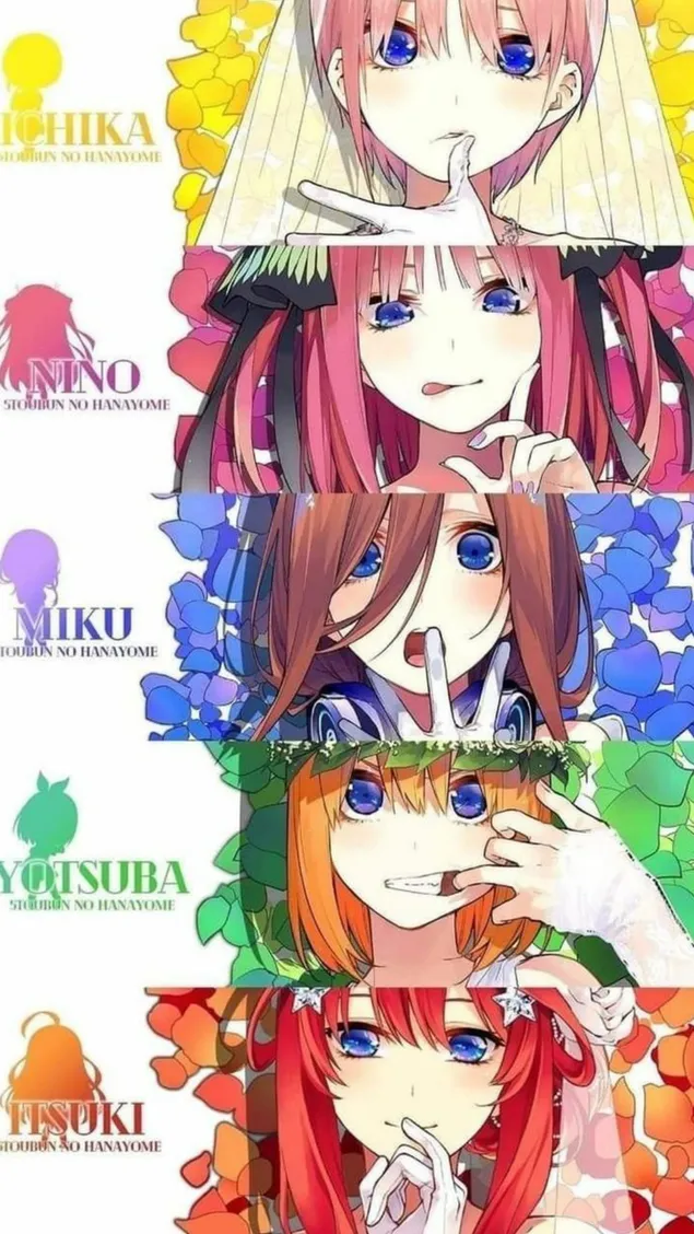 The Quintessential Quintuplets 애니메이션 캐릭터 HD 배경화면