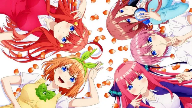 The Quintessential Quintuplets blue eyed anime girls HD wallpaper